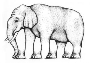 Quante gambe ha l'elefante?